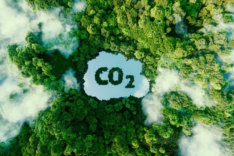 webinar-gratuito-la-carbon-neutrality-per-le-aziende